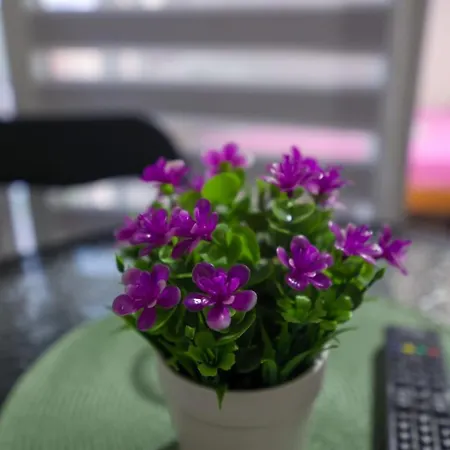 Apartment Banja Vrujci Nikolic