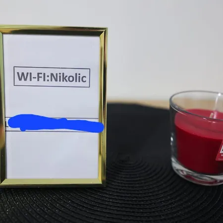 Banja Vrujci Nikolic Apartment *