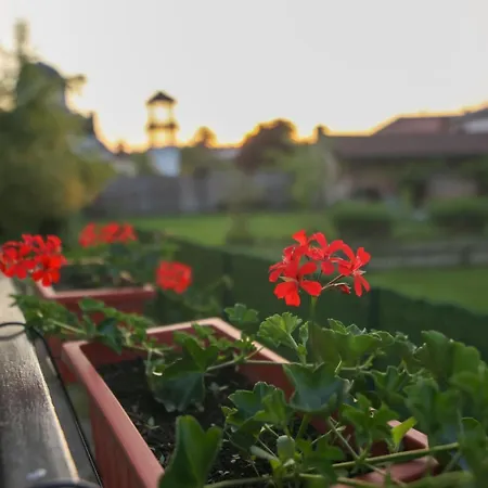 Appartamento Banja Vrujci Nikolic Popadic