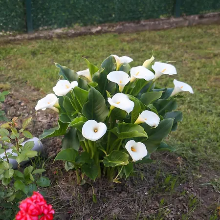 Banja Vrujci Nikolic * Popadic