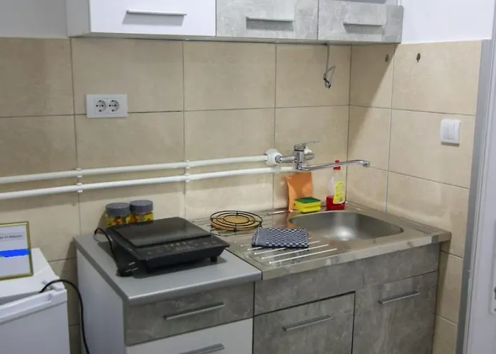 Banja Vrujci Nikolic * Popadic