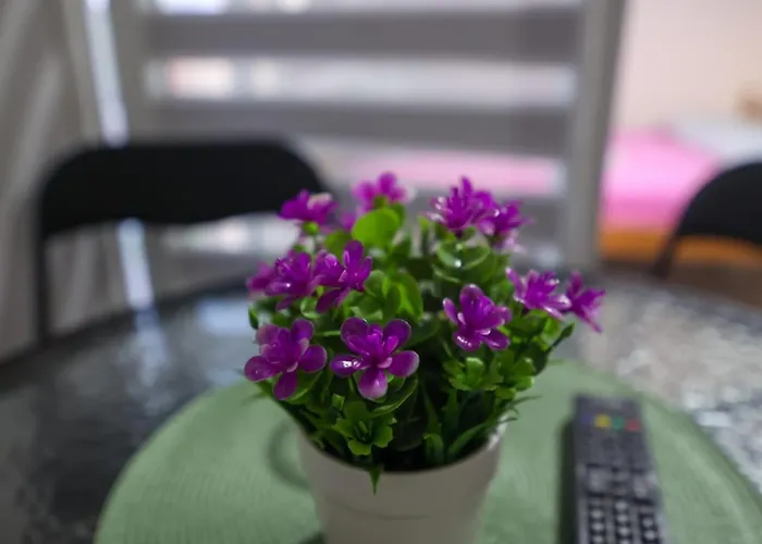 Apartament Banja Vrujci Nikolic