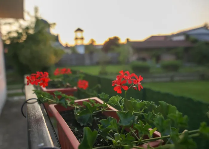 Apartament Banja Vrujci Nikolic Popadic